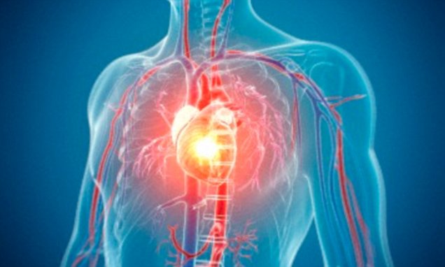 2a46d8c300000578-0-image-a-6_1436285982550